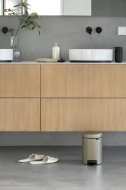 Brabantia NewIcon Prullenbak - 3 L - Metallic Gold 35 Brabantia NewIcon Prullenbak - 3 L - Metallic Gold -Brabantia 799x1200 52